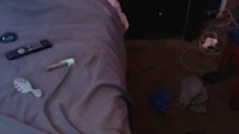 Sparkx online show from December 3, 7:10 am