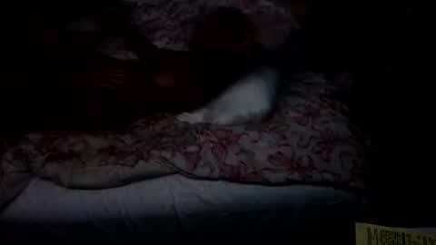 Snapshot of dickgiggler chatting on July 17, 12:34 pm Sparkx online show from July 17, 12:34 pm