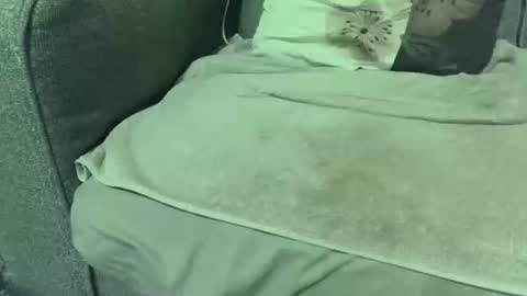 Snapshot of dickwack4u chatting on January 10, 2:24 am dickwack4u online show from January 10, 2:24 am