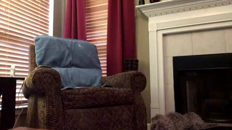 diegodavids online show from February 6, 3:20 pm