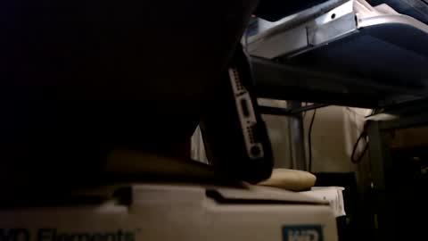 dbNorth online show from January 13, 1:13 am