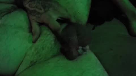 dikkdixon online show from February 28, 3:57 pm