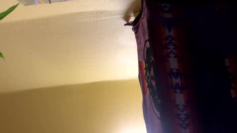 dimepiecebottom online show from December 8, 1:47 pm