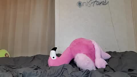 Snapshot of dimepiecexxx chatting on February 24, 3:20 pm Sofie online show from February 24, 3:20 pm