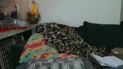 Snapshot of dimepiecexxx chatting on November 25, 5:35 pm Sofie online show from November 25, 5:35 pm