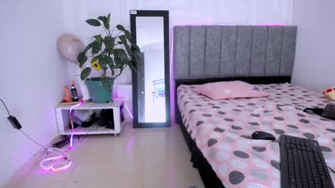 DINA online show from November 12, 10:41 pm