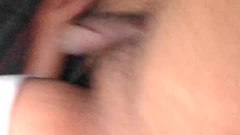 Snapshot of dino_7711 chatting on November 17, 12:38 am dyno online show from November 17, 12:38 am