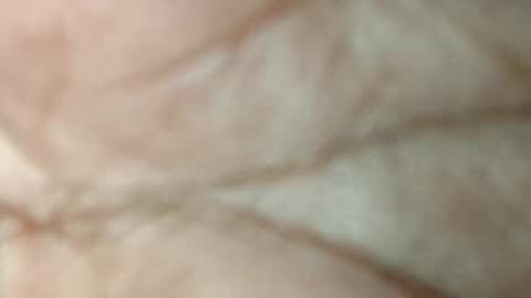 Snapshot of dino_7711 chatting on November 17, 5:52 pm dyno online show from November 17, 5:52 pm