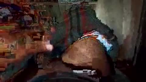 Snapshot of dino_7711 chatting on November 22, 2:10 am dyno online show from November 22, 2:10 am