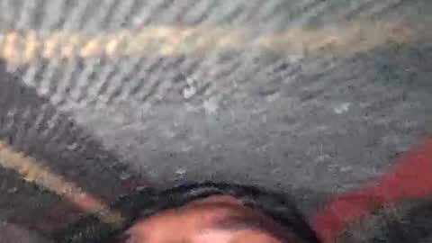 Snapshot of dino_7711 chatting on December 17, 7:42 pm dyno online show from December 17, 7:42 pm