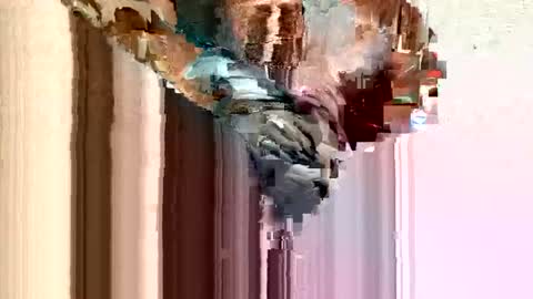 dirtmcgirt82 online show from February 11, 5:26 am