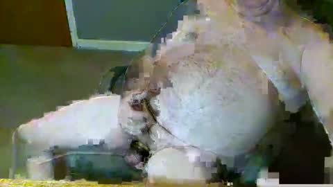 dirtydave52 online show from March 28, 11:10 am