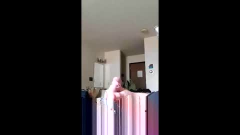 Snapshot of discreetmt chatting on June 11, 1:42 pm discreetmt online show from June 11, 1:42 pm