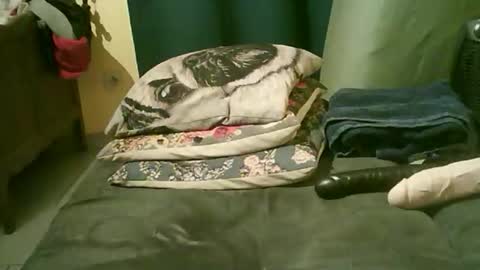 Snapshot of divimi chatting on November 15, 10:48 pm divimi online show from November 15, 10:48 pm