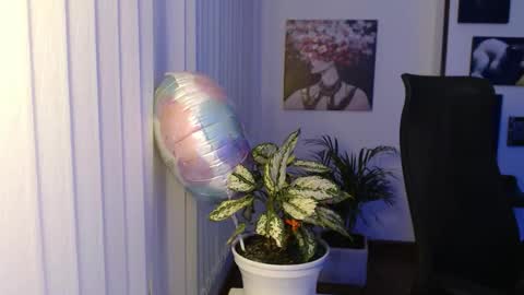 Hera online show from November 29, 10:07 am