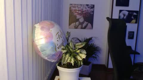 Hera online show from December 23, 10:02 am