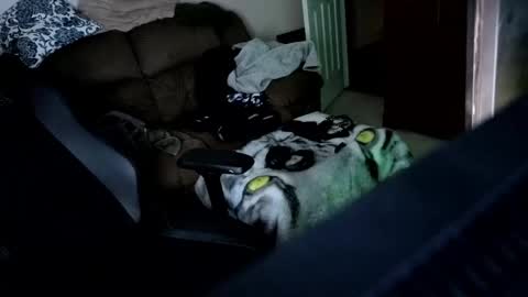 Hansel and Gretle online show from April 21, 11:51 pm