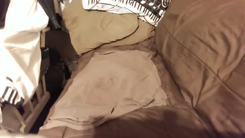 Snapshot of do4you2 chatting on January 18, 2:23 pm do4you2 online show from January 18, 2:23 pm