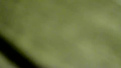 Doby online show from January 15, 10:46 pm