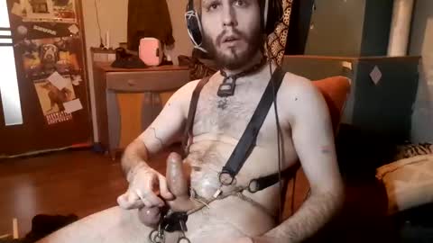 Snapshot of dogwithamohawk chatting on February 7, 2:37 pm dogwithamohawk online show from February 7, 2:37 pm