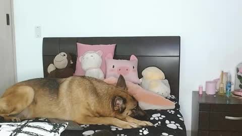 Auro and Santiago online show from March 4, 2:49 am