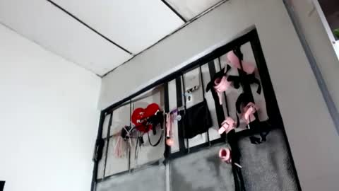 Snapshot of doll_sary chatting on January 23, 12:41 pm Catherine XXX online show from January 23, 12:41 pm