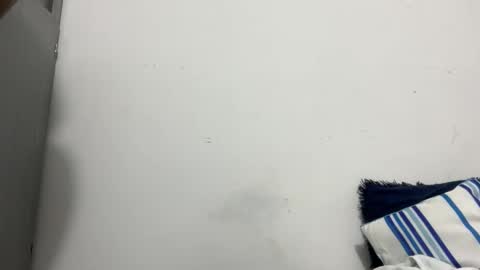 Snapshot of dominic_brand chatting on October 16, 3:29 am Brandon online show from October 16, 3:29 am