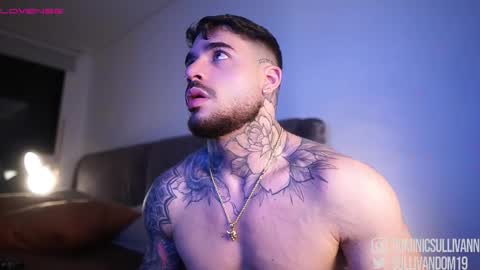 Dominic Sullivan online show from November 23, 1:49 am