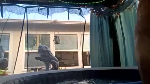 doobie1717 online show from September 28, 12:43 pm