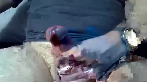 dosser8 online show from January 8, 7:24 pm