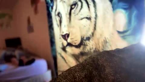 dove_love22 online show from November 21, 8:40 pm