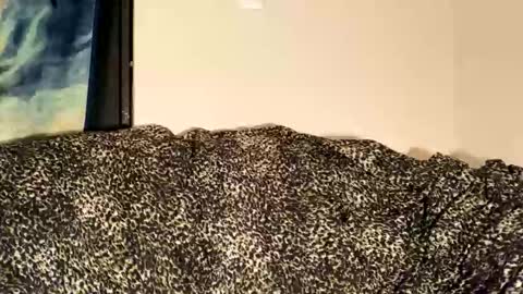 dove_love22 online show from November 30, 2:15 am