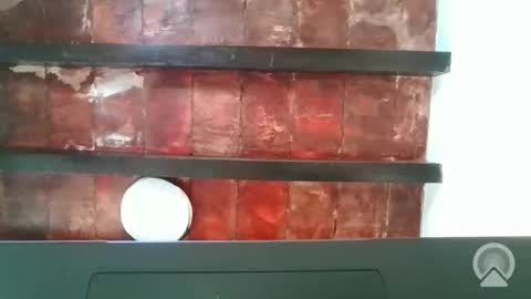 new profile Aircum99  online show from December 4, 4:05 pm