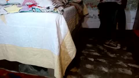 dreamreal online show from November 22, 11:20 am