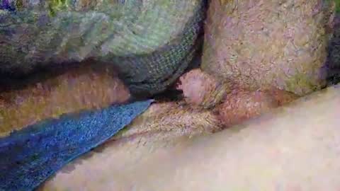 drew8649890274 online show from November 3, 3:41 am