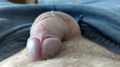 drippingrabbit online show from April 21, 6:01 pm