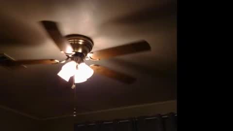 Snapshot of drippingwetfilipinapussy chatting on November 9, 11:58 pm WetFilipinaPussy online show from November 9, 11:58 pm