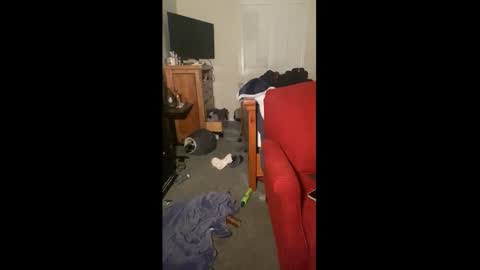 Drippy kitty  online show from December 22, 9:50 am