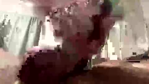 Snapshot of droppingloads82 chatting on March 8, 9:13 am droppingloads82 online show from March 8, 9:13 am