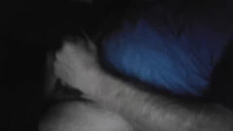 Snapshot of drthick1224 chatting on November 3, 2:35 am drthick1224 online show from November 3, 2:35 am