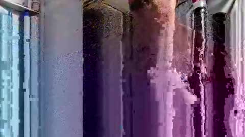 dsmock online show from October 1, 6:08 am