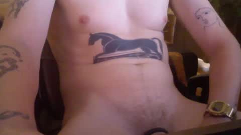 dsnke online show from January 20, 2:43 am