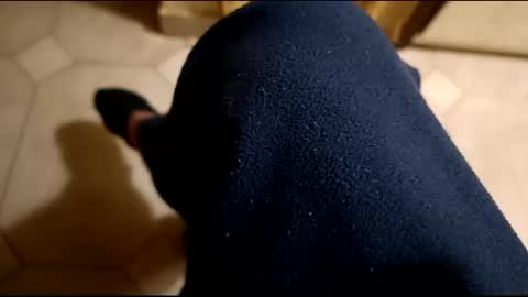 dthedog12 online show from February 21, 12:27 am