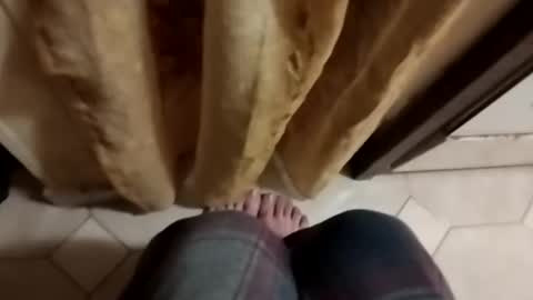 dthedog12 online show from October 8, 9:12 pm