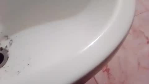 dthedog12 online show from November 22, 9:36 pm