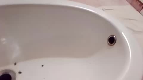 dthedog12 online show from January 10, 8:21 pm