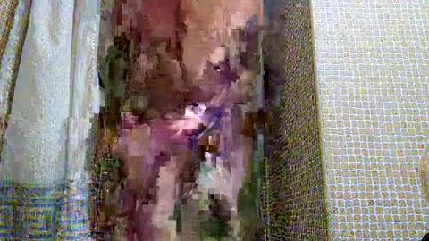 dublindub12 online show from March 2, 10:03 am