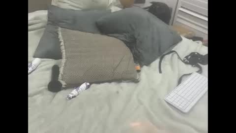 Snapshot of dudebrocuz69 chatting on February 18, 11:55 pm Dude online show from February 18, 11:55 pm