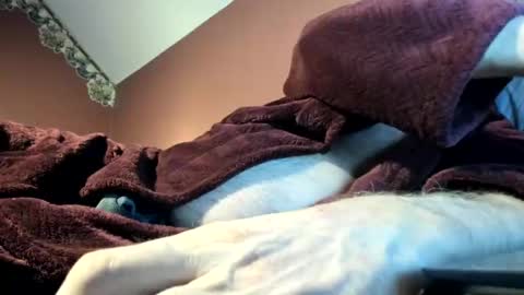 Doug online show from November 16, 3:01 am