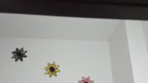 Snapshot of dulce_roberts_ chatting on January 5, 2:08 pm Dulce online show from January 5, 2:08 pm